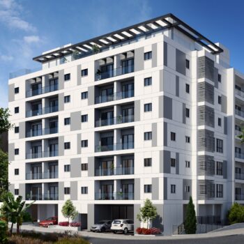 הדמיה מניה שוחט